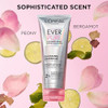 LOreal Paris Sulfate Glossing Lamination Hair Mask 5Minute RinseOff Hair Treatment With Caring Everpure 5.1 Fl Oz