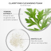 Shiseido Clarifying Cleansing Foam + Benefiance Wrinkle Smoothing Day Cream 125 Ml