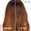LOreal Paris Volume Sulfate Shampoo And Conditioner For ColorTreated Hair Everpure Set Treated Hair Everpure 8.5 Fl Oz
