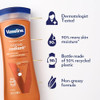 Vaseline Cocoa Radiant 2Pack Intensive Care Moisturizing Hand And Body Lotion With 10 Oz 2Pack