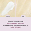 Klavuu Pearlsation Enriched Divine Pearl Cream Rich With Hydrating Pearl Extracts and 1.69 Floz