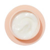 Colourpop Fourth Ray Beauty Daily Face Cream Hydrating Face Moisturizer With Squalane Pop Fourth Ray Beauty Daily 1.66 Oz