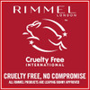 Rimmel Exaggerate Liquid Eye Liner Glossy Black