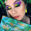 Docolor Makeup Brushes Makeup Brushes Set + 34 Colors Tropical Eeyshadow Palette Makeup Brushes 10 Piece