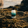 Scottish Fine Soaps Sea Kelp Hand and Body Lotion Fresh Marine Scent With Green 300Ml