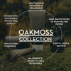Scottish Fine Soaps Oakmoss Hand and Body Lotion 300Ml