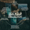 Scottish Fine Soaps Sea Kelp Collection Body Wash Marine Spa Scent With Organic Seaweed 200Ml