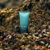 Scottish Fine Soaps Sea Kelp Collection Body Wash Marine Spa Scent With Organic Seaweed 200Ml