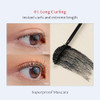 Clio Professional Long and Curl Up Waterproof Black Mascara + Mascara Remover