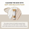 Skin1004 Madagascar Centella Ampoule Foam Korean Face Cleanser and Makeup Remover With 4.23 Fl.Oz