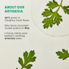 Hanyul Artemisia Soothing Cleansing Oil Gentle Soothing and Hydrating Oil Facial Cleanser