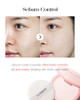 Thesaem Saemmul Perfect Pore Pink Pact Sebum Control Face Powder With 15% 0.37 Oz 2 Pack