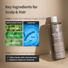 Benton Beer Yeast Shampoo Hair Loss Relief Biotin Shampoo For Thinning Hair 16.0 Fl.Oz