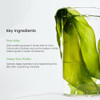 Biodance Clear Glow Mask Duo: Bio Collagen and Sea Kelp Real Deep