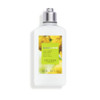 LOccitane Barbotine Perfumed Body Lotion 8.40 Fl Oz