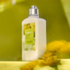 LOccitane Barbotine Perfumed Body Lotion 8.40 Fl Oz
