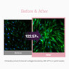 Meditherapy Collagen Peptide 12X Boosting Serum Enhances Skin Elasticity and Reduces Deep 1.01 Fl.Oz