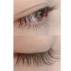Beauty-Mall Pc Beauty Real Eyelash Curler With A Case Get Curling Eyelash 1 Pc