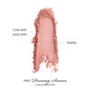 Flower Knows Swan Ballet Embossed BlushWarm Peachy Pink Matte Powder Blush For CheeksBuildable