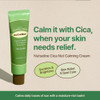 Nutseline Cica Nut Calming Cream Korean Skin Care Moisturizing and Soothing Cooling 60Ml