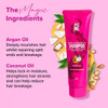Give Me Cosmetics Shampoo Cleanses Nourishes and  Strengthens Reducing Hair Loss and Brittleness with Argan Coconut and Macadamia Oil plus Betaine Provitamins B5 Paraben Free