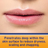 NEOSPORIN Lip Health Overnight Renewal Therapy White Petrolatum Lip Protectant Nourishing Night Moisturizer to Repair Dry & Cracked Lips