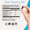 Real Mushrooms RealRest Capsules for Calm and Mindfulness 60ct  Calmness and Mindfulness Support Organic Reishi and Lemon Balm  Vegan  Non GMO Mushroom Supplement