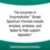 Nature's Way Broad Spectrum Enzyme Active Helps Support Optimal Digestion, 90 Capsules, 90 Count