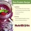 NutriBiotic Certified Organic Rice Protein, 3 Pound | Low Carbohydrate Vegan Protein Powder | Raw, Certified Kosher & Keto Friendly | Made Without Chemicals, GMOs & Gluten | Easy to Digest