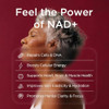 NAD+ Supplement for Women - NMN Alternative with β-NAD+, Trans-Resveratrol, CoQ10, D-Ribose - Promotes Cellular Renewal, Energy, and Radiant Skin Health - 60 Capsules Advanced