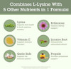 Quantum Health SuperLysine+ 1500mg L lysine Immune Support 180 Tablets  Essential Amino Acid Vitamin C Echinacea Licorice Bee Propolis and  Odorless Garlic Daily Formula