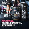 Nutrex Research EAA Hydration  EAAs + BCAA Powder  Muscle Recovery Strength Muscle Building Endurance  8G Essential Amino Acids + Electrolytes  (Packaging My Vary) 30 Servings