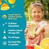 Barlean's Lemonade Omega Pals Kids Omega 3 Fish Oil Kid friendly flavor Non GMO Gluten free Liquid Brain & eye