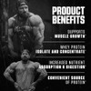 Axe & Sledge WHEY More Premium Protein Blend | 24g Protein, Whey Concentrate & Isolate | Prebiotic Fiber for Enhanced Absorption | 28 Servings, Muscle Recovery Support, Myovera®, DigeSEB®