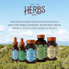 Herbs Etc. Deep Sleep Classic Liquid Extract Holistic Rest Supplement for Restful Sleep Chamomile Lemon Balm