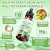 Vita PLynxera Iron Supplement for Women Men and Kids Vegan Iron Drops with Vitamin C D B12  B-Complex High Potency Liquid with Multivitamin for Anemia Energy Support Magnesium Iron Gentle