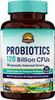 VITALITOWN Probiotics 120 Billion CFUs  36 Strains with Prebiotics & Digestive Enzymes for Men Women Shelf Stable  Digestive Health and  Immune Support  Vegan  Non-GMO