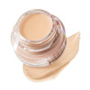 SKINFOOD Salmon PDRN Dark Circle Concealer Cream - Under Eye Concealer for Dark Spots and Wrinkles, Full Coverage, Stocking Stuffer, 10 g (0.35 Oz)