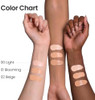 SKINFOOD Salmon PDRN Dark Circle Concealer Cream - Under Eye Concealer for Dark Spots and Wrinkles, Full Coverage, Stocking Stuffer, 10 g (0.35 Oz)