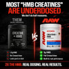 RAW Creatine Plus HMB Creatine HMB Powder Creatine Monohydrate Powder with 3G HMB Taurine and No Added Sugar Muscle Mass Growth Strength Building and Enhanced Energy 30 Servings