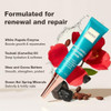 Onsen Nail and  Cuticle Cream Treatment w Japanese Tsubaki Jojoba and Lavender Oil Shea Butter  Strengthens Nails Softens Cuticles  Daily Repair Care