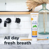 Oxyfresh Premium Cavity Protection  Fresh Mint Fluoride Toothpaste  Unique Non Staining Fluoride Helps Keep Teeth White  Helps Fight Cavities Plaque and Tartar  Strengthen Sensitive Enamel