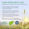 Aloderma Oil Controlling Facial Cleanser Organic Aloe Face Wash with wintergreen clary sage Daily calming wash