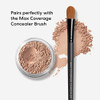 bareMinerals Loose Powder Concealer SPF 20, Talc-Free Undereye Concealer, Lightweight Coverage, Conceals Redness & Blemishes, Mineral Makeup, Cruelty-Free, Vegan