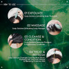 Aveda Scalp Solutions Exfoliating Scalp Treatment Removes Sebum Build Up and Pollution for All Scalp Types Wintergreen Derived Salicylic Acid Cooling Sensation