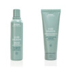 Aveda Scalp Solutions Balancing Shampoo Gently Removes Pollution and Build Up Improves Scalp Hydration for All Hair Types Citrus Floral Mint Aroma