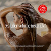 Lolavie Volume Essentials Bundleincludes Tsaapproved Shampoo Conditioner And Spray Vegan Cruelty Color Safe For Fine Thin Hair Types