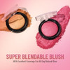 Swiss Beauty Sb802 Professional Blusher Lovely Pink