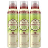 Old Spice Whole Body Deodorant Spray For Men Aluminum Cucumber plus Avocado Scent 24 7 Odor Protection 24 7 Lasting Freshness Safe To Use All Over 3.5 Oz Pack Of 3