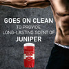 Old Spice Aluminum Deodorant For Men 24 7 Odor Protection 24 7 Freshness And Lasting Scent Goes On Clear Rogue With Juniper Scent 3.0 Oz Pack Of 3